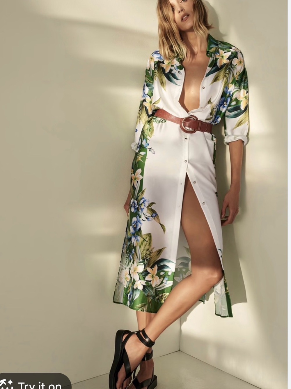 Zara Dress